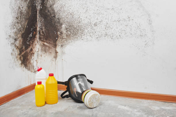 Best Mold Removal Process  in Chualar, CA