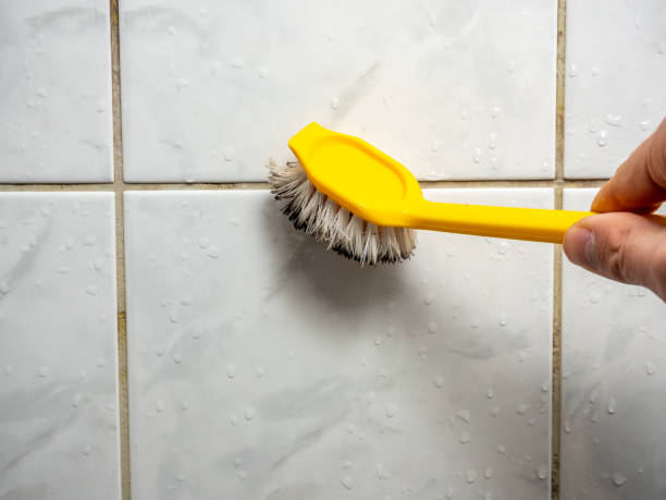 Best Same-Day Mold Removal  in Chualar, CA