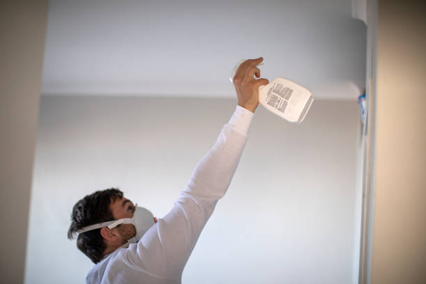Best Mold Remediation  in Chualar, CA