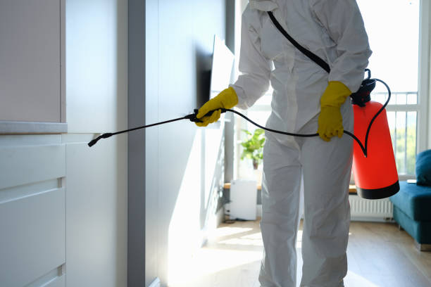 Best Professional Mold Removal  in Chualar, CA