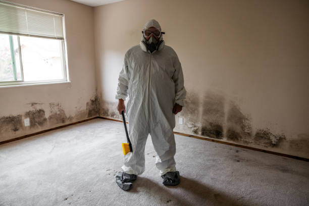 Crawl Space Mold Removal in Chualar, CA