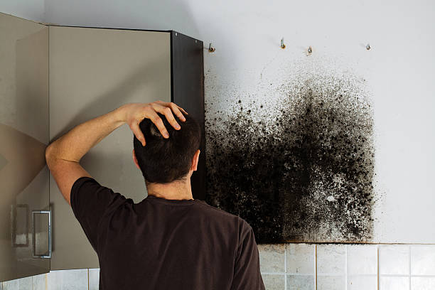 Best Toxic Mold Removal  in Chualar, CA